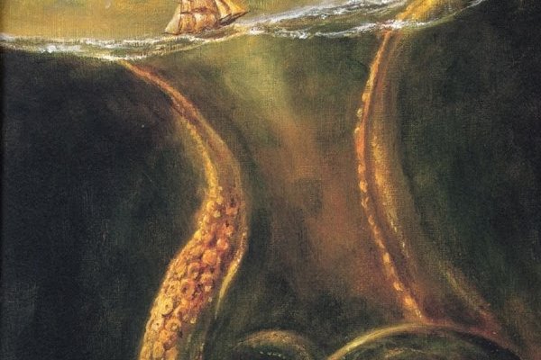 Kraken маркет whitenet только через tor скачать
