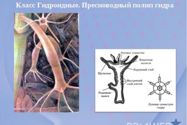 Кракен маркетплейс отзывы