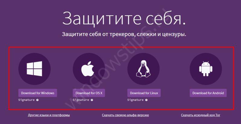 Магазины наркотиков